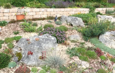 Thema Steingarten - Felssteppe