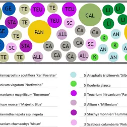 Pflanzplan für ein kleines Staudenbeet mit Legende zu den verwendeten Symbolen