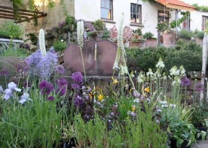 Eingangsbereich Staudenverkauf