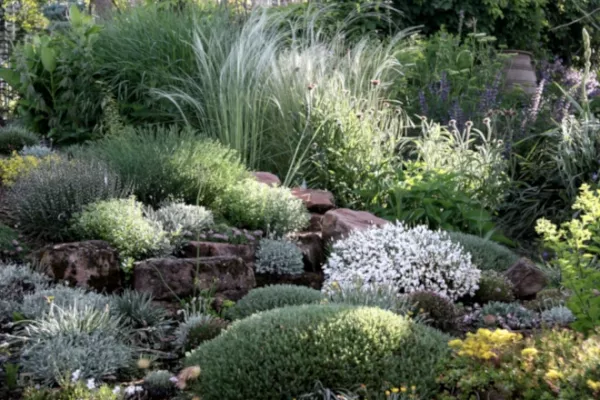 Trockenmauer plus Steingarten