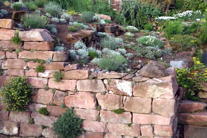Ideal für Steingartenpflanzen: Die Trockenmauer